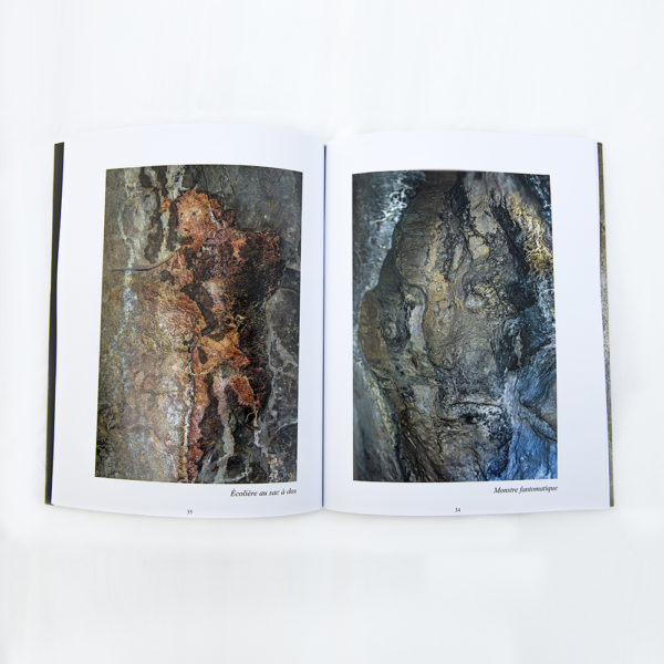 Livre « Les illusions d'âmes » – Image 3